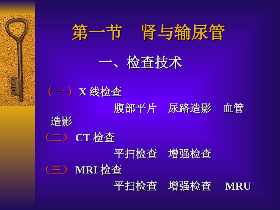泌尿系统影像学检查_第2页