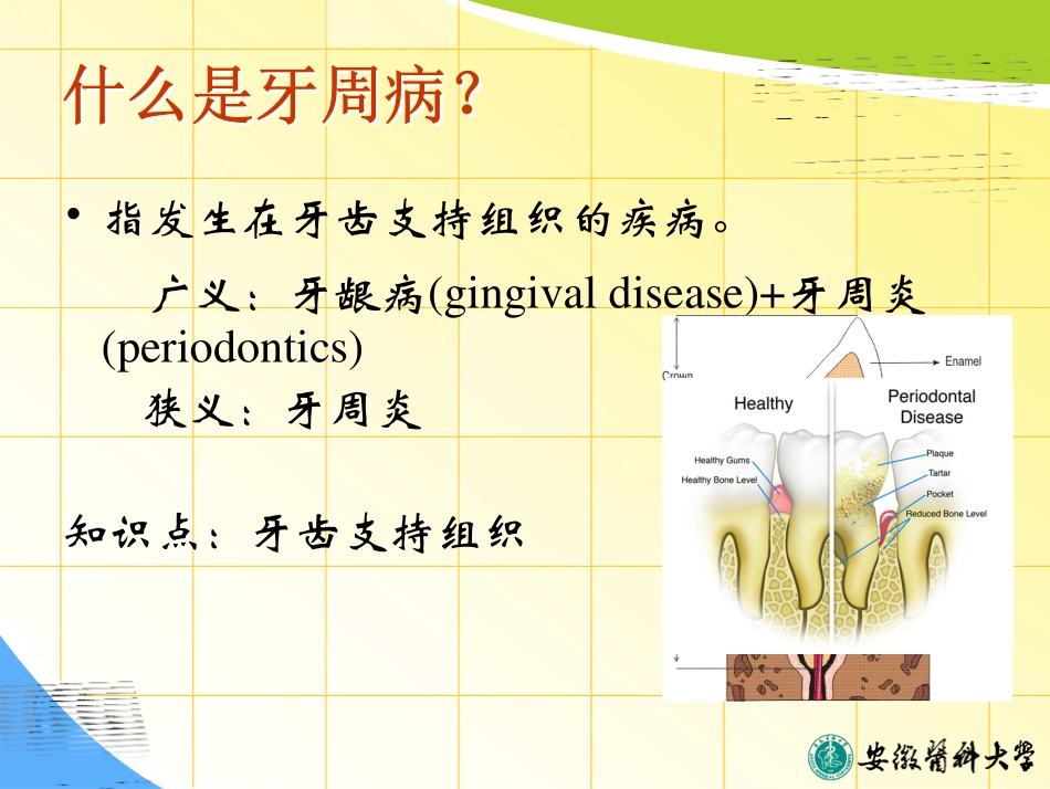 牙周病药物治疗_第2页