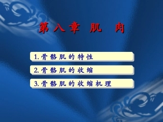 骨 骼 肌 的 特 性