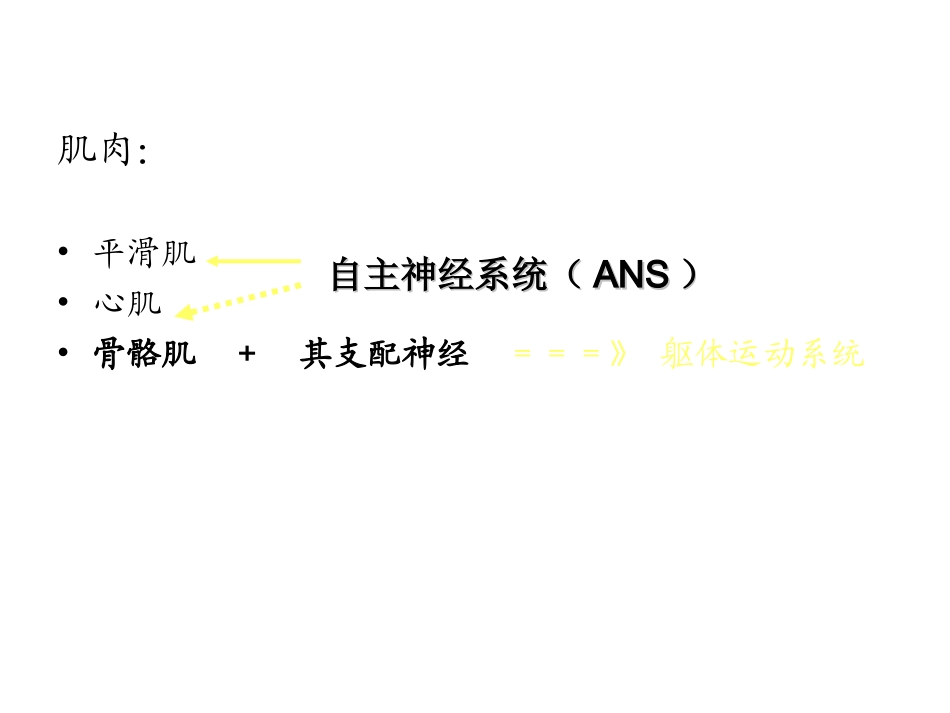 第八章 运动的神经控制1_第2页