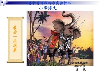 最后一头战象课件