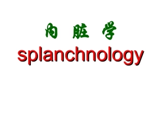内脏总论呼吸系统