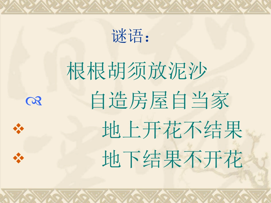 落花生(第二课时)_第2页