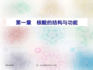 生物化学  核酸的结构与功能