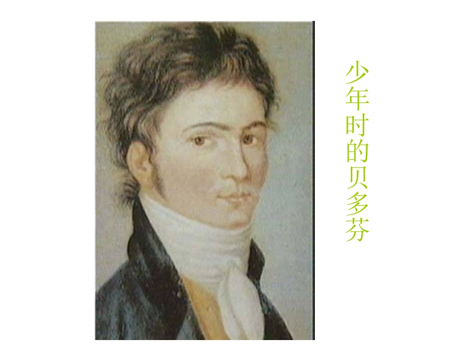 音乐巨人贝多芬(38页)_第3页