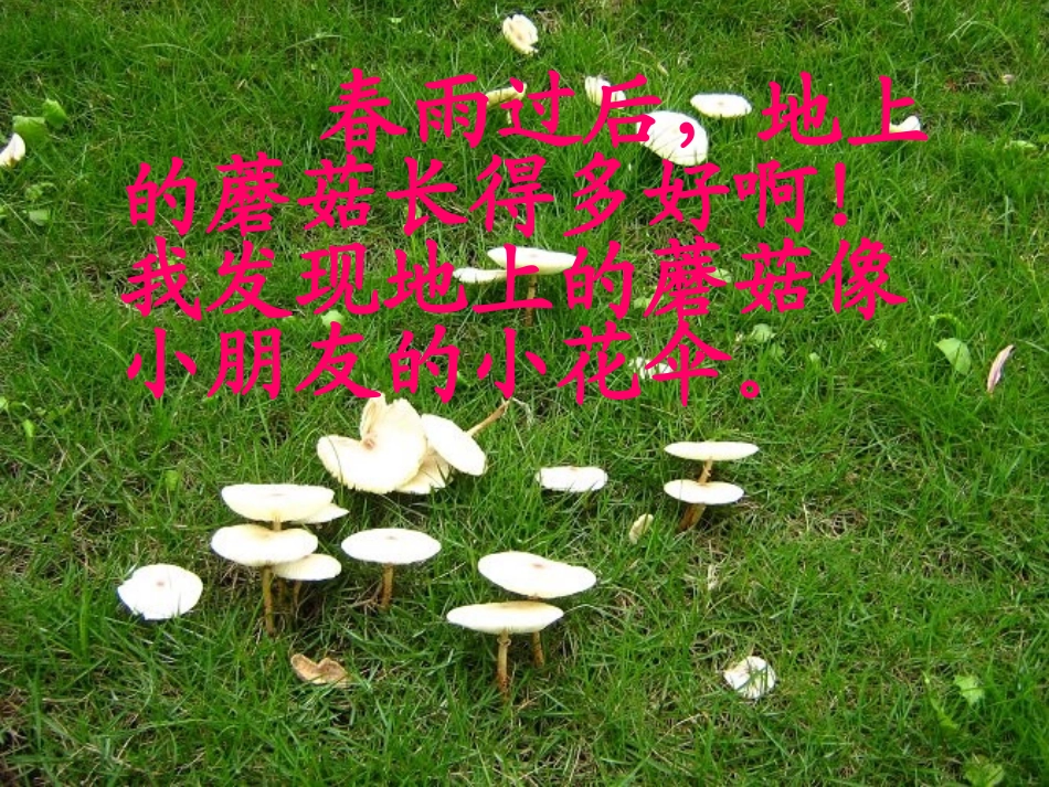 语文园地一（上课）_第2页