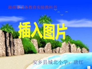 在文章中插入图片