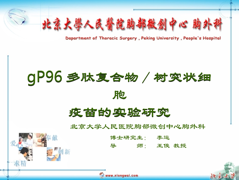 gP96多肽复合物／树突状细胞疫苗研究_第1页
