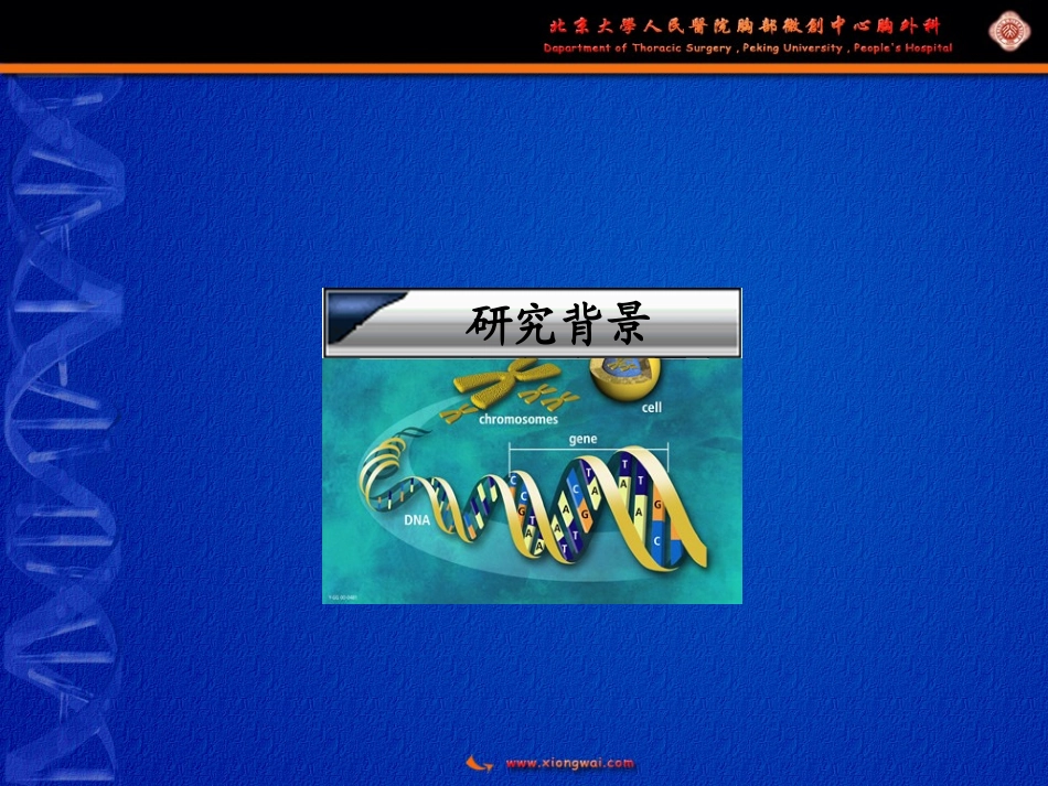 gP96多肽复合物／树突状细胞疫苗研究_第2页