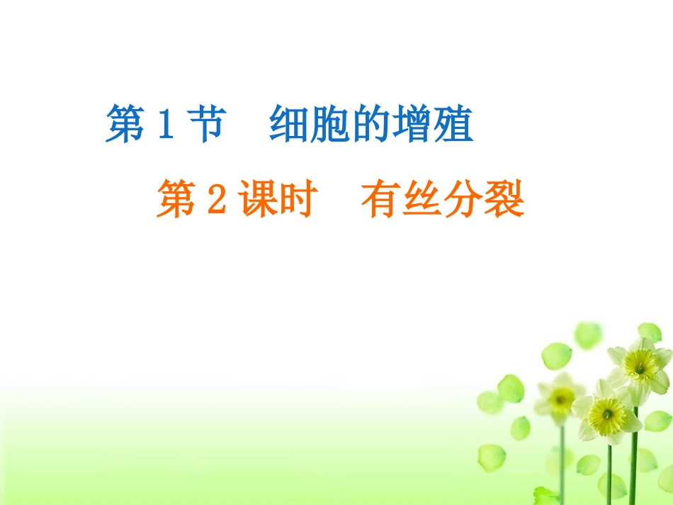 植物细胞有丝分裂(附动画)_第2页