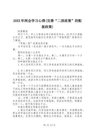 20XX年两会学习心得(完善“二孩政策”的配套政策) (3)