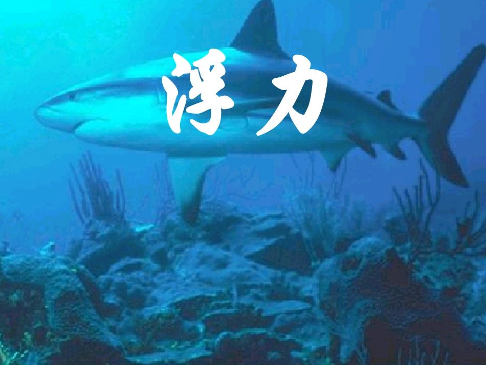 初三物理浮力复习PPT课件_第1页