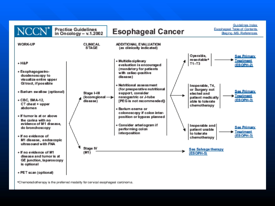 食管癌分期及其手段_第2页