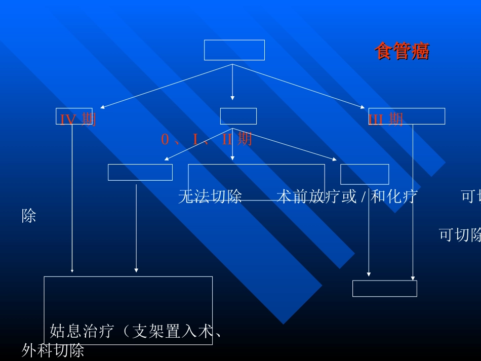 食管癌分期及其手段_第3页