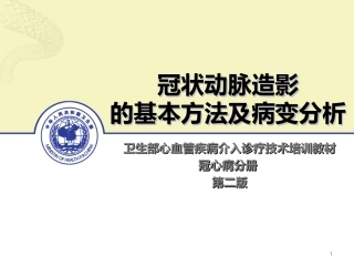 冠状动脉造影的基本方法及病变分析模板