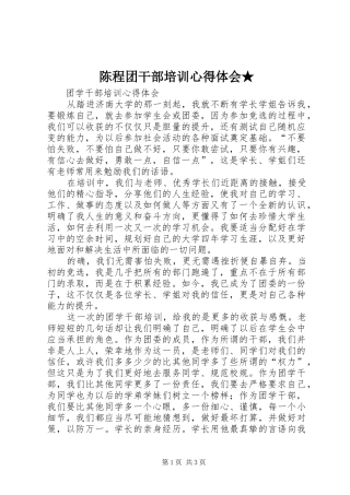 陈程团干部培训心得体会★