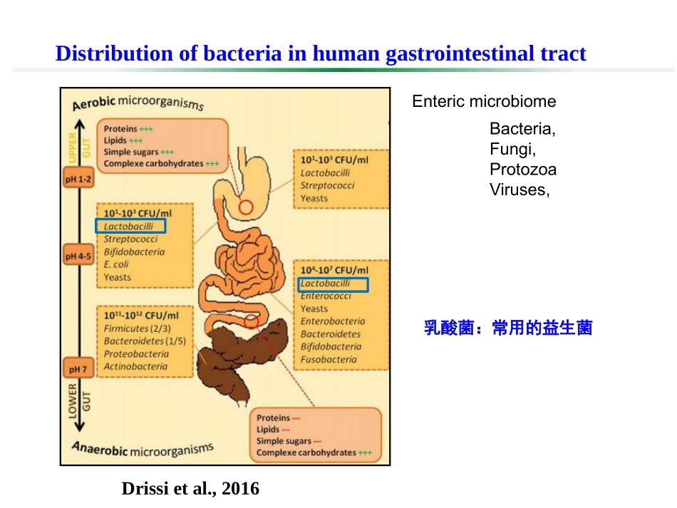 武振龙-乳酸菌与动物肠道健康_第2页