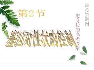 基因对性状的控制课件新人教必修