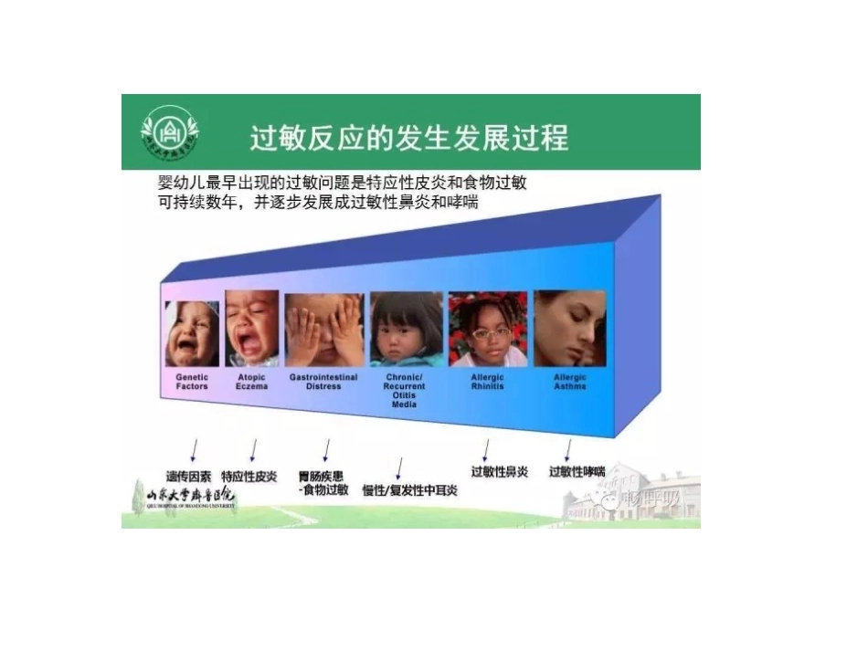 特异性皮炎-儿童_第3页