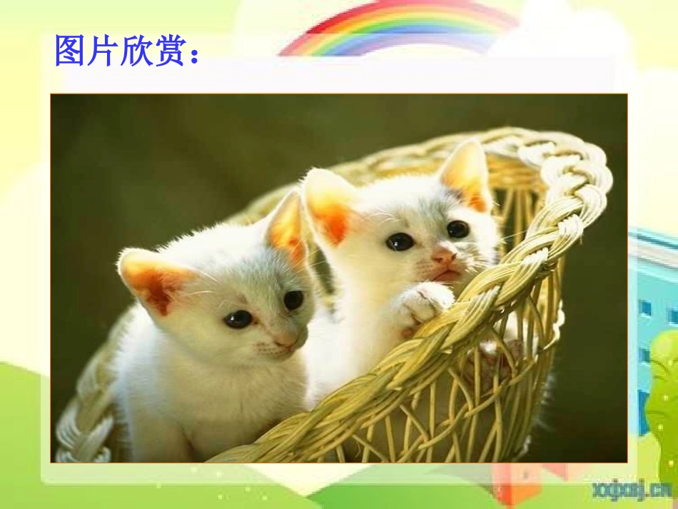 2014年春（人教版）七下课件：猫（浅层阅读+深层阅读+语文积累，35页）_第3页