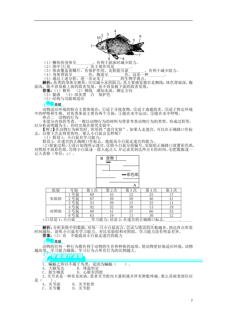 专题四生物圈中的其他生物及生物的多样性_第2页