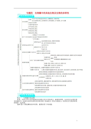 专题四生物圈中的其他生物及生物的多样性