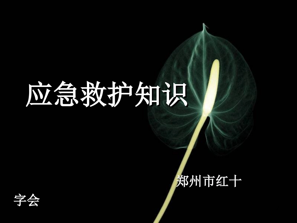 应急救护知识-志愿郑州_第2页