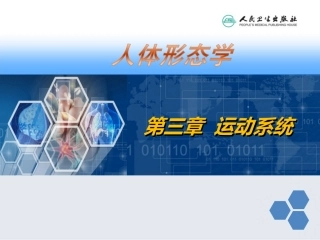 人体形态学--第03章--第3节--骨骼肌-1.总论