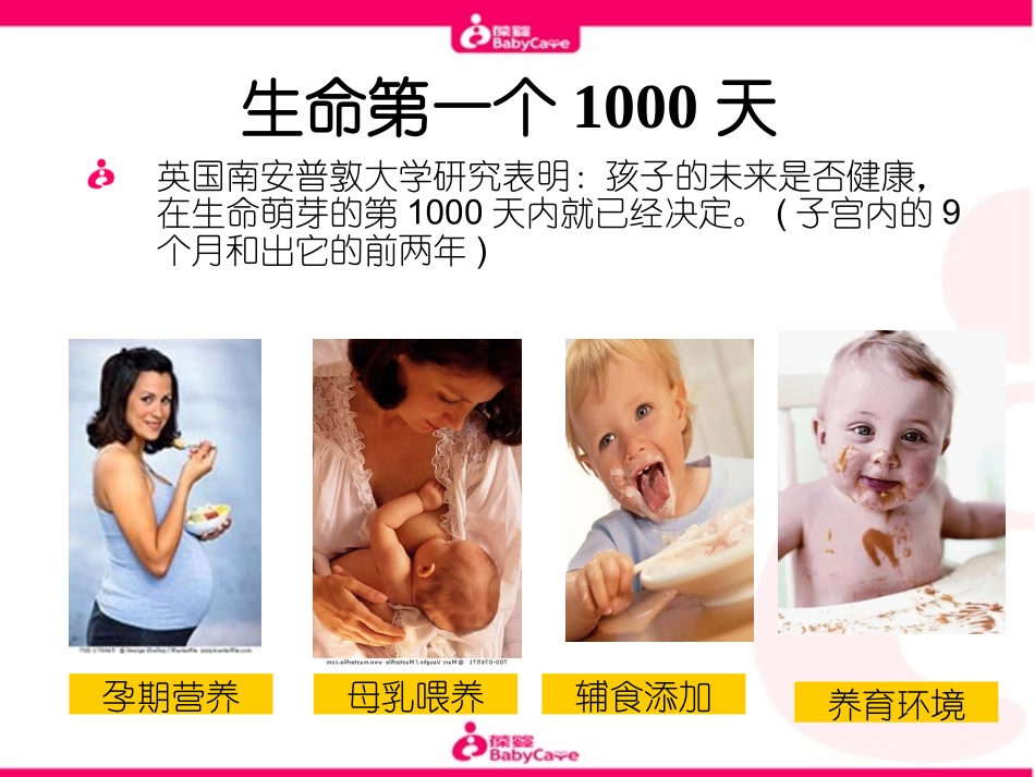 婴幼儿大脑发育的奥秘_第2页
