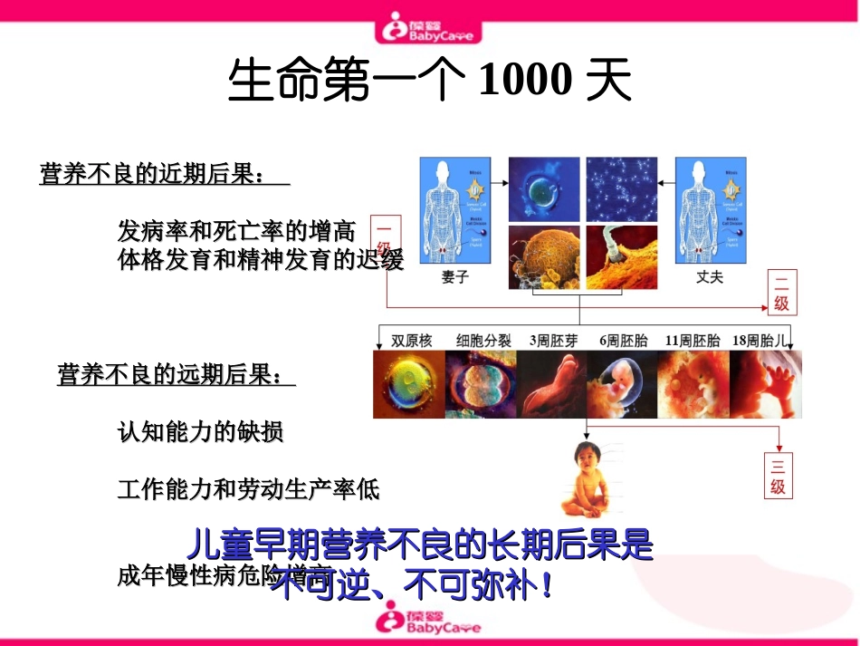 婴幼儿大脑发育的奥秘_第3页