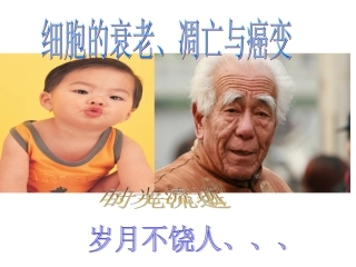 第六章 第3.4节 细胞衰老、凋亡、癌变