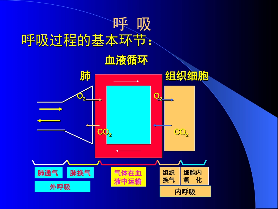 呼吸机的基本知识_第2页