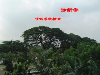 呼吸系统(精品)