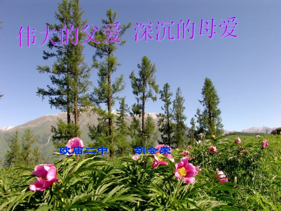 人教版五年级语文上册第六组主题性学习《17地震中的父与子》《慈母情深》PPT课件_第1页