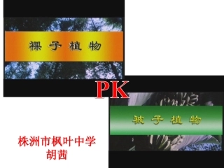 为什么说被子植物比裸子植物更适应陆地环境？