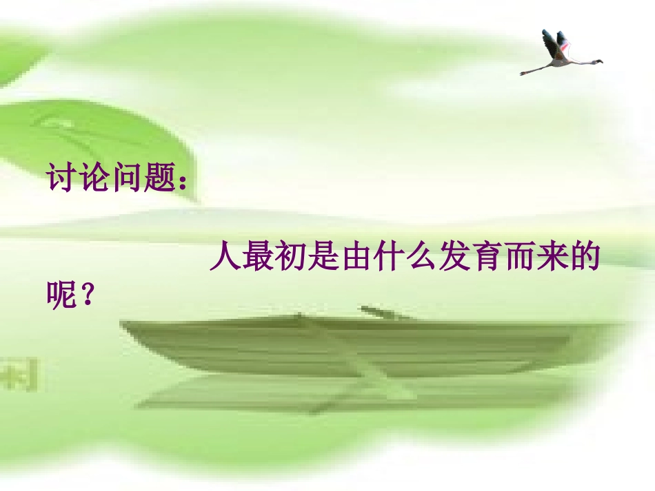 北师大版体细胞的分裂_第1页