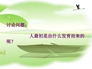 北师大版体细胞的分裂