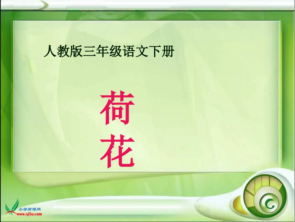 荷花课件(人教版语文三年级下册)_第1页