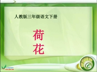 荷花课件(人教版语文三年级下册)