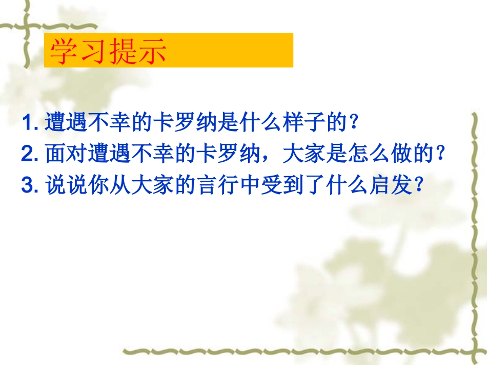 卡罗纳完美版 _第3页