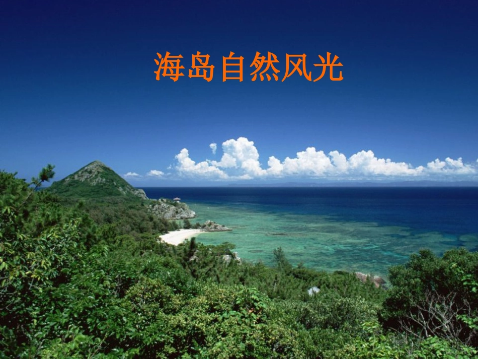 _彩色的翅膀_第3页