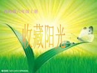 收藏阳光课件