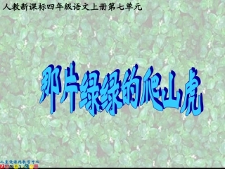 那片绿绿的爬山虎3