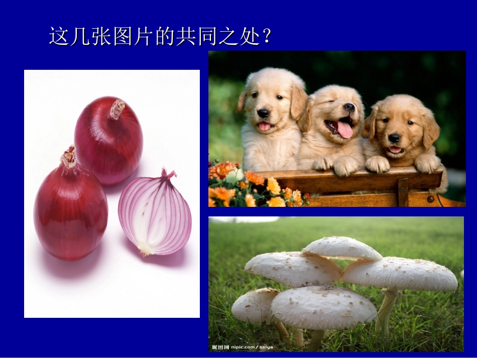 《生命活动的基本单位—细胞》_第1页