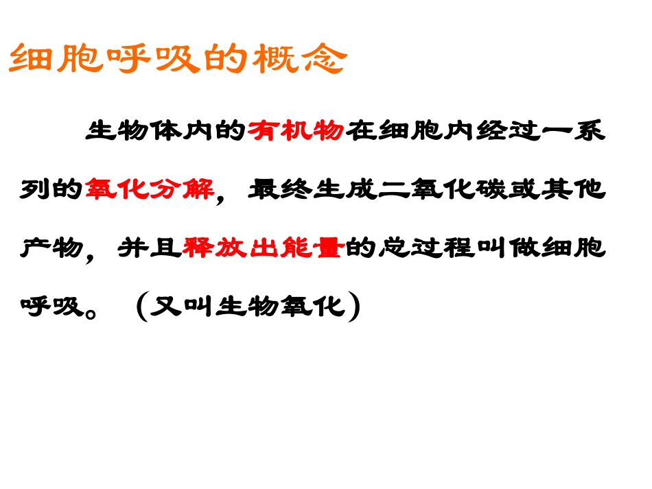 高三生物光合作用和呼吸作用专题复习_第1页