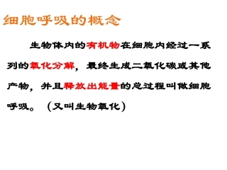 高三生物光合作用和呼吸作用专题复习