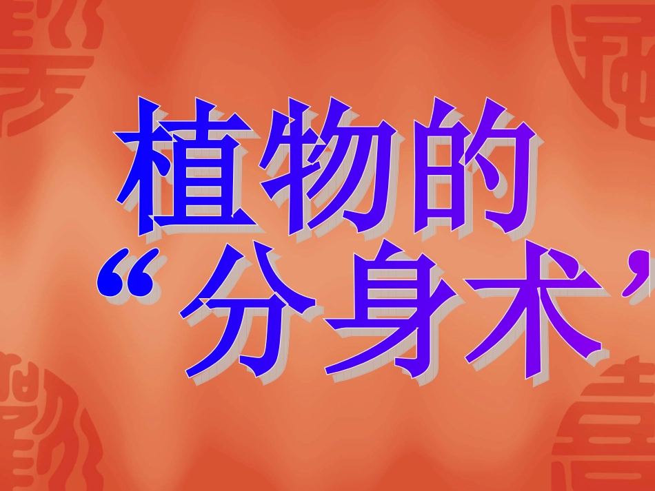 植物的分身术_第1页