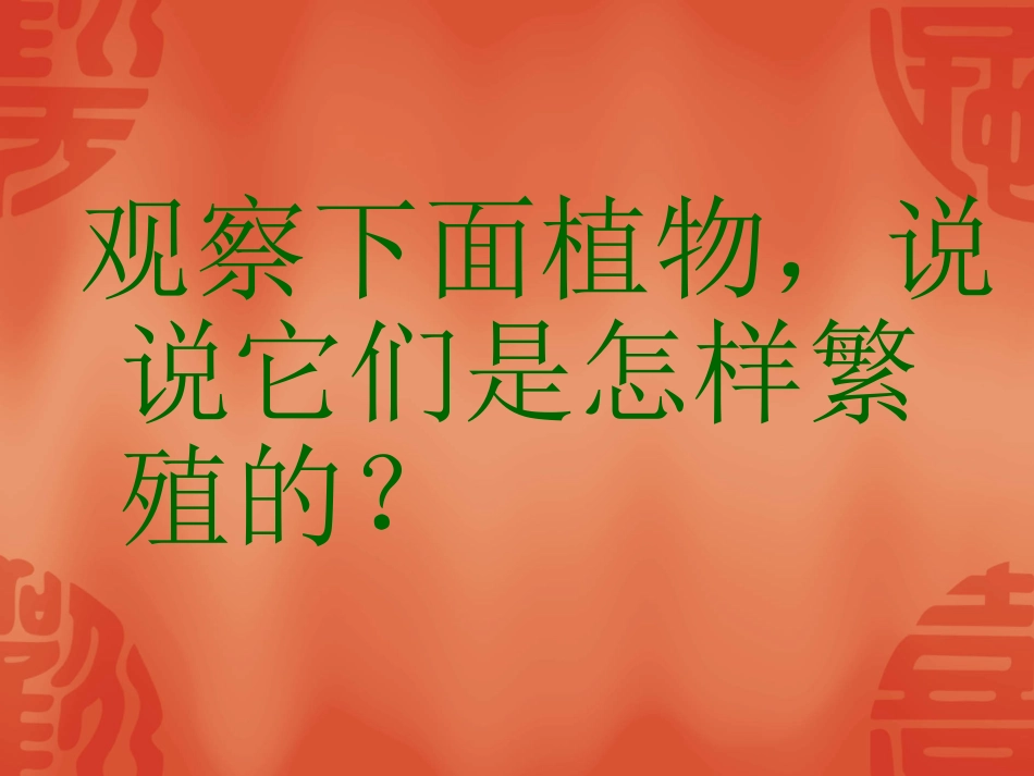 植物的分身术_第2页