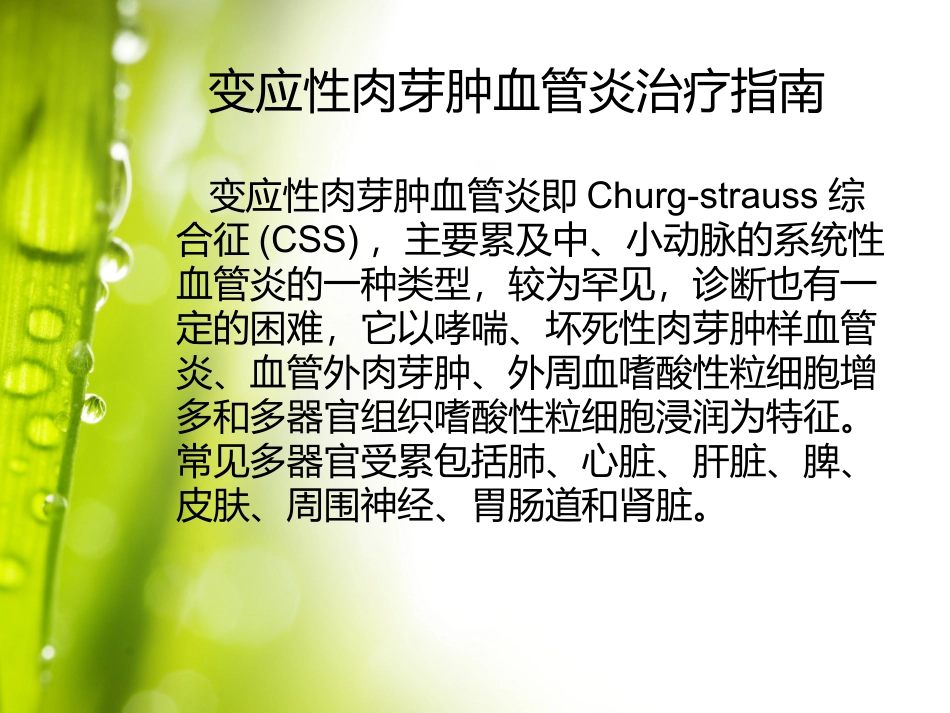 变应性肉芽肿血管炎治疗指南_第2页