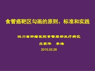 食管癌靶区勾画